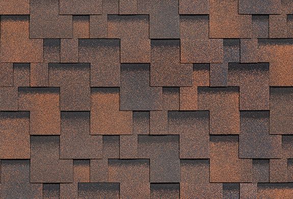 Фокстрот - Кедр